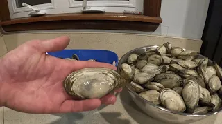 Beginner's Tutorial for Digging Soft Shell Clams (Steamers)