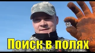 Поиск в полях. Коп 2018. В поисках золота UA!