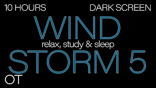 HOWLING WIND Sounds for Sleep | Relaxing | Studying| BLACK SCREEN| Real Storm Sounds| SLEEP SOUNDS 5