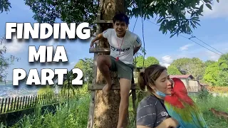 BIRD RESCUE KAY MIA NAKUHA NAMIN SIYA SA TUKTOK NG PUNO! Ang baba lipad nya! (PART 2) | Murillo Bros