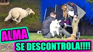 ALMA SE DESCONTROLA....    ·VLOG·