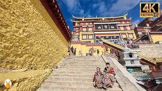 Shangri-la, Yunnan🇨🇳 Mysterious Tibetan Temples and Beautiful Streets (2022)