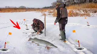 ЩУКИ КОЧЕГАРЫ на ЖЕРЛИЦЫ!!! РЫБАЛКА ЗИМОЙ на СЕВЕРСКОМ ДОНЦЕ