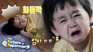 Why does Bentley cry when wakes up? [The Return of Superman Ep 348]