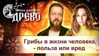 Грибы в жизни человека, - польза или вред