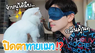 ปิดตาทายชื่อแมวทั้ง 7 ตัว... จะจำได้มั้ย!? | ติดเต๋า