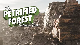 A Petrified Forest Travel Guide | The Painted Desert | Blue Mesa | Hiking the Devils Playground