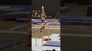 Level 7 parallel bars dismount