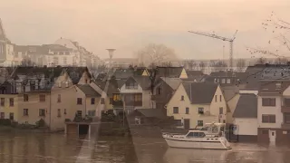 Rhein Hochwasser Januar 2018