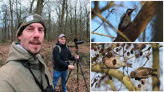 Birding in the forest🌲🌳🐦 [EOS 90D + Tamron 150-600mm G2]