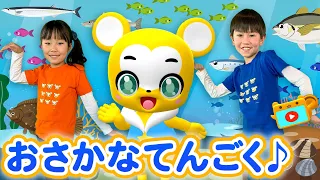 【うた】おさかなてんごく〈振り付き〉【こどものうた・童謡・手遊び・キッズ・ダンス】Japanese Children's Song, Nursery Rhymes & Finger Plays