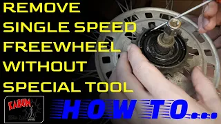 How To Remove Single Speed Freewheel Without Special Tool