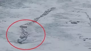 The Lagarfljót Giant Worm: Iceland's Loch Ness Monster?