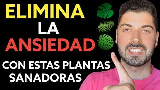 🔥10 REMEDIOS NATURALES más Potentes para CALMAR la ANSIEDAD y NERVIOS