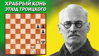 Храбрый конь. Шахматный этюд. Алексей Троицкий, 1906 год. Издание Deutsche Schachzeitung. Шахматы