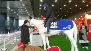 馬のロボット　Horse robot