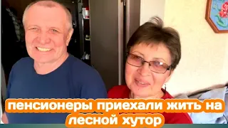 ЛИКВИДИРОВАЛА РЕДИСКУ, НЕ ХВАТИЛО СИЛ НА ЛИНОЛЕУМ, ПОДГОТОВИЛА МЕСТО ДЛЯ ОТДЫХА / ЖИЗНЬ НА ХУТОРЕ