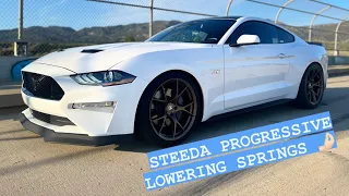 Finally Lowered The Mustang GT On Steeda Springs