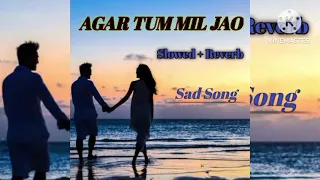 agar tum mil jao jamana chhod denge ham (slowed and reverb) love song lofi