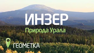 Геометка. Инзер