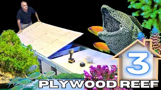 Building a PALAU REEF TANK PALUDARIUM using Plywood and Epoxy!