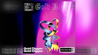 Vladimir - Gold Digger (audio)