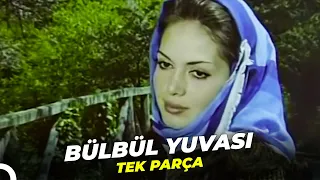 Bülbül Yuvası | Türkan Şoray Eski Türk Filmi Full İzle