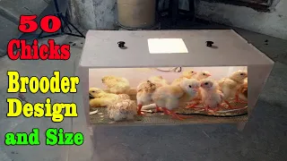 50 Chicks Brooder Design and Size || How To design Chicks Brooder At Home