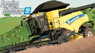 COLHEITA DE CANOLA DOS GURI | Os Guri | Farming Simulator 22 - EP 51