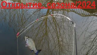 Ловля карася весной на боковой кивок. рыбалка на карася на боковой кивок 2024. family fishing