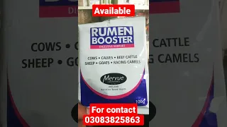 Rumen booster digestive support for cows, calves, beef cattle, sheep, goats, racing camels #medicine