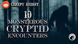 10 встреч с чудовищными криптидами из Reddit: Cryptid Episode 1:7