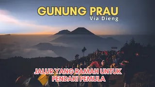 [FULL] Pendakian Gunung Prau via Dieng || Jalur Yang Ramah Untuk Pendaki Pemula