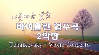 화려해서 더 애절한 바이올린 협주곡 - 차이코프스키 Tchaikovsky - Violin Concerto D Major, Op 35