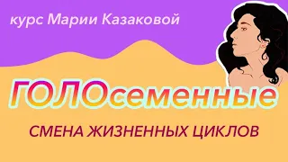 Урок "Размножение голосеменных" — ЦТ, ЕГЭ, ЗНО