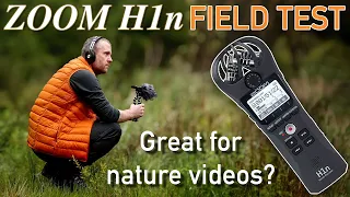 Zoom #H1n Field Test - Settings & Accessories | Maximise Audio Quality