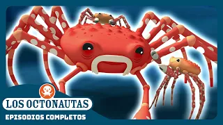 Los Octonautas - 🕷️ El cangrejo araña gigante 🦀 | Temporada 1 | Episodios Completos