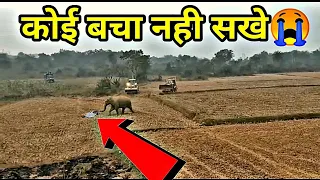 JCB और Hathi के बिच हुई Fighting? JCB Vs Hathi Fighting