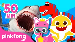 Mix-Esconde-Esconde com Bebê Tubarão e Pinkfong | +Compilação | Pinkfong Canções para crianças