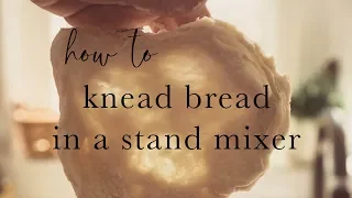 How to Knead Bread in a Stand Mixer