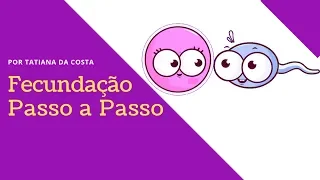 Fecundação Passo a Passo | Como tudo acontece