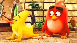 Angry Birds в кино - Русский тизер-трейлер (2016) HD