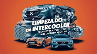 ✅limpeza do  intercoler da EGR Peugeot hdi, Ford Tdci, mini cooper d volvo 1.6  🚗🚗