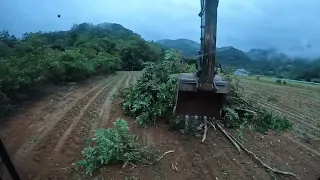 Escavadeira drenando terreno para plantação de milho P2