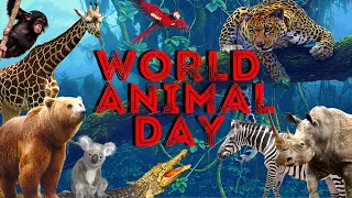 World Animal Day - 4th October  | #worldanimalday #saveanimals