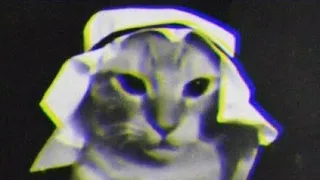 mundian to bach ke, but in its phonk dnb edition feat. arabian cat as dancer