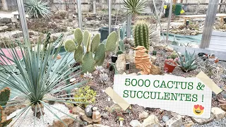 #VLOG 1 - Il collectionne 5000 CACTUS ET SUCCULENTES ! 😮 D-Terrariums 🌿 ft. AuCactusVosgien 🌵