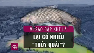 Câu được cá khủng nặng 40kg, "cần thủ" tiết lộ vì sao đập Khe Là lại có nhiều "thủy quái"? | VTC Now