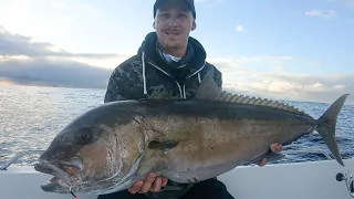 jigging samsonfish perth