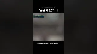 [몬스타엑스] 너네는 못하는게 없구나